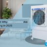 Style Meets Comfort Why Slim Coolers Are Trending in 2025